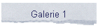 Galerie 1